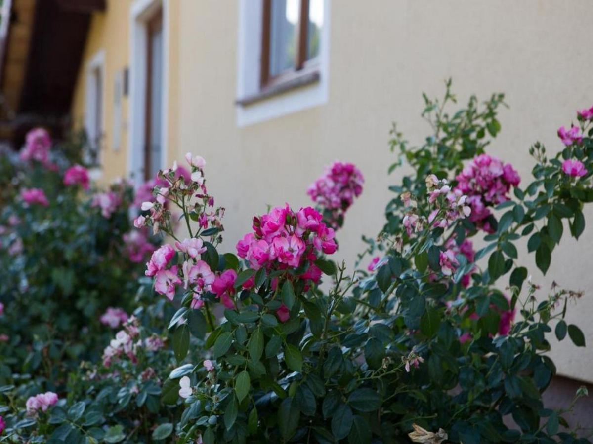 Apartman Dujmovic 1 Otočac Exterior foto